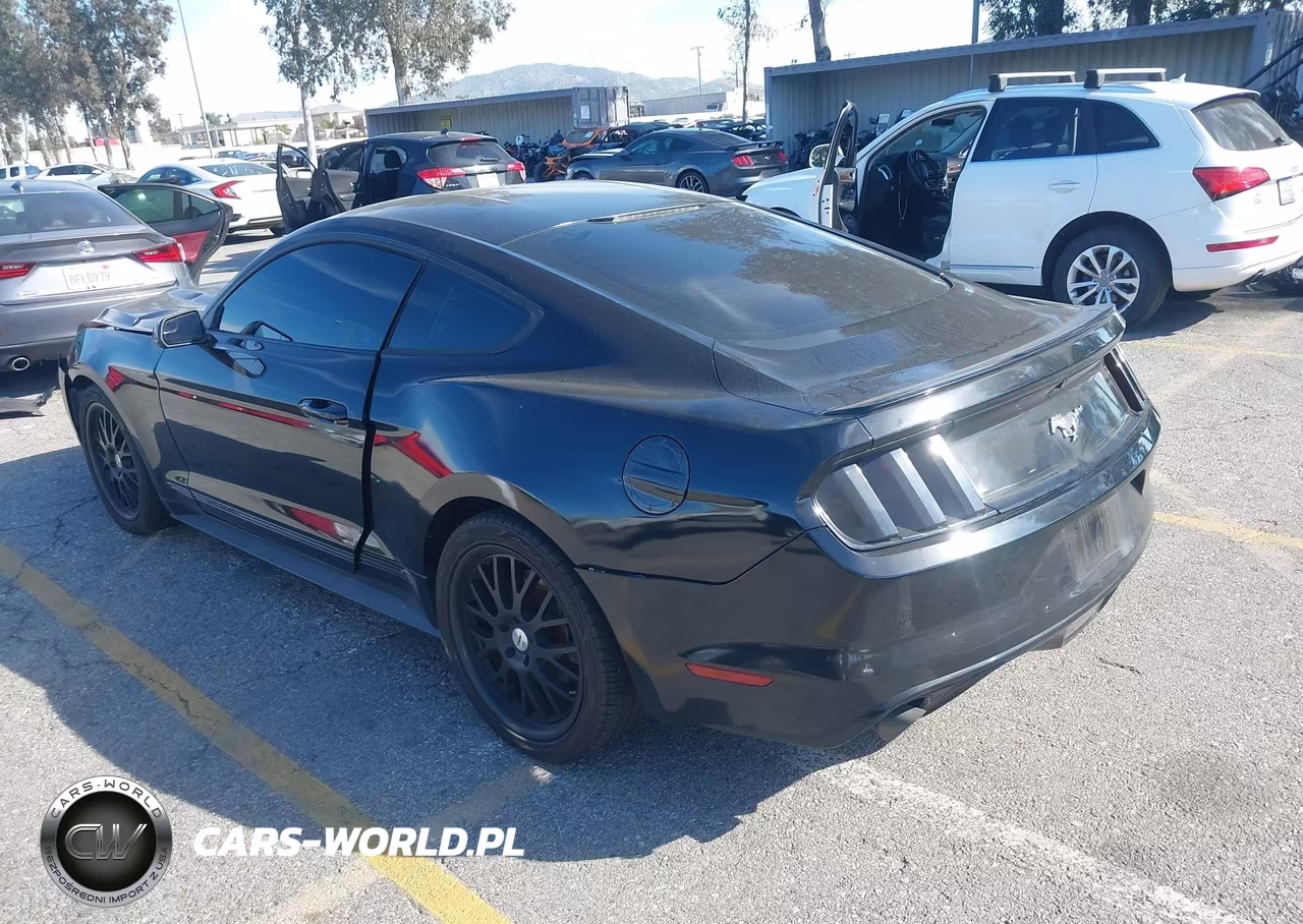 2015 Ford Mustang Ecoboost VIN:1FA6P8TH3F5363397 - 3