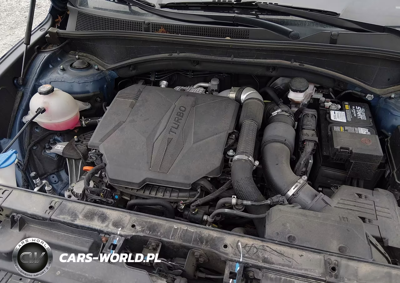 2023 Hyundai Santa Fe Limited VIN:5NMS4DAL2PH495888 - 10