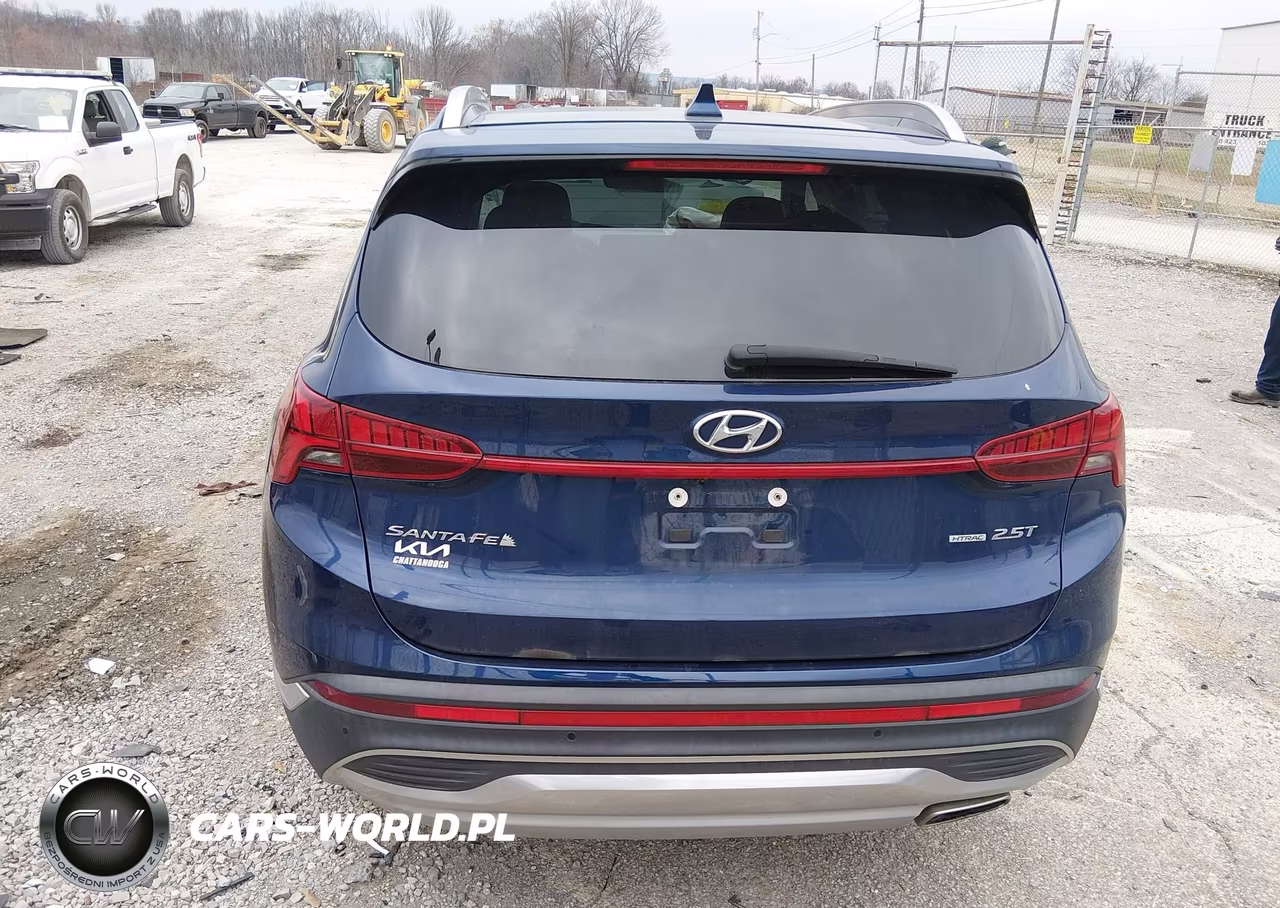 2023 Hyundai Santa Fe Limited VIN:5NMS4DAL2PH495888 - 17