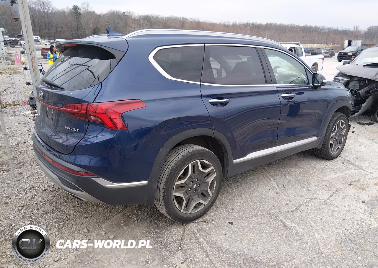2023 Hyundai Santa Fe Limited VIN:5NMS4DAL2PH495888 - 4