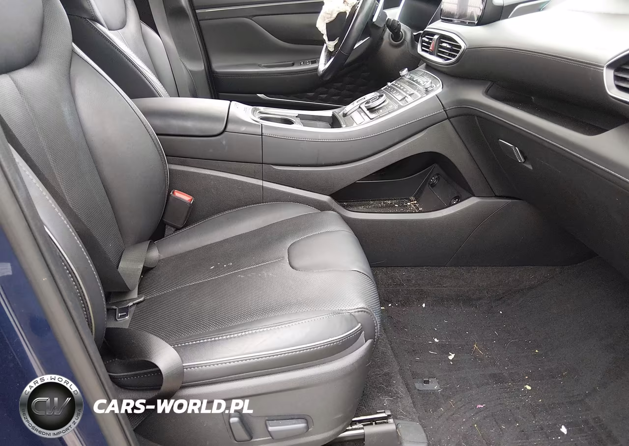 2023 Hyundai Santa Fe Limited VIN:5NMS4DAL2PH495888 - 5