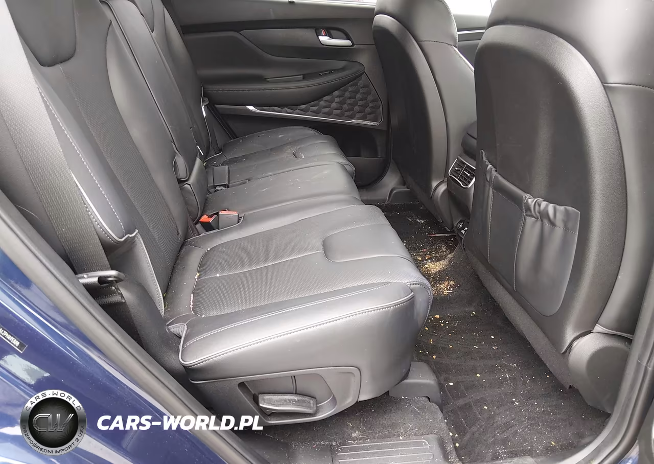 2023 Hyundai Santa Fe Limited VIN:5NMS4DAL2PH495888 - 8
