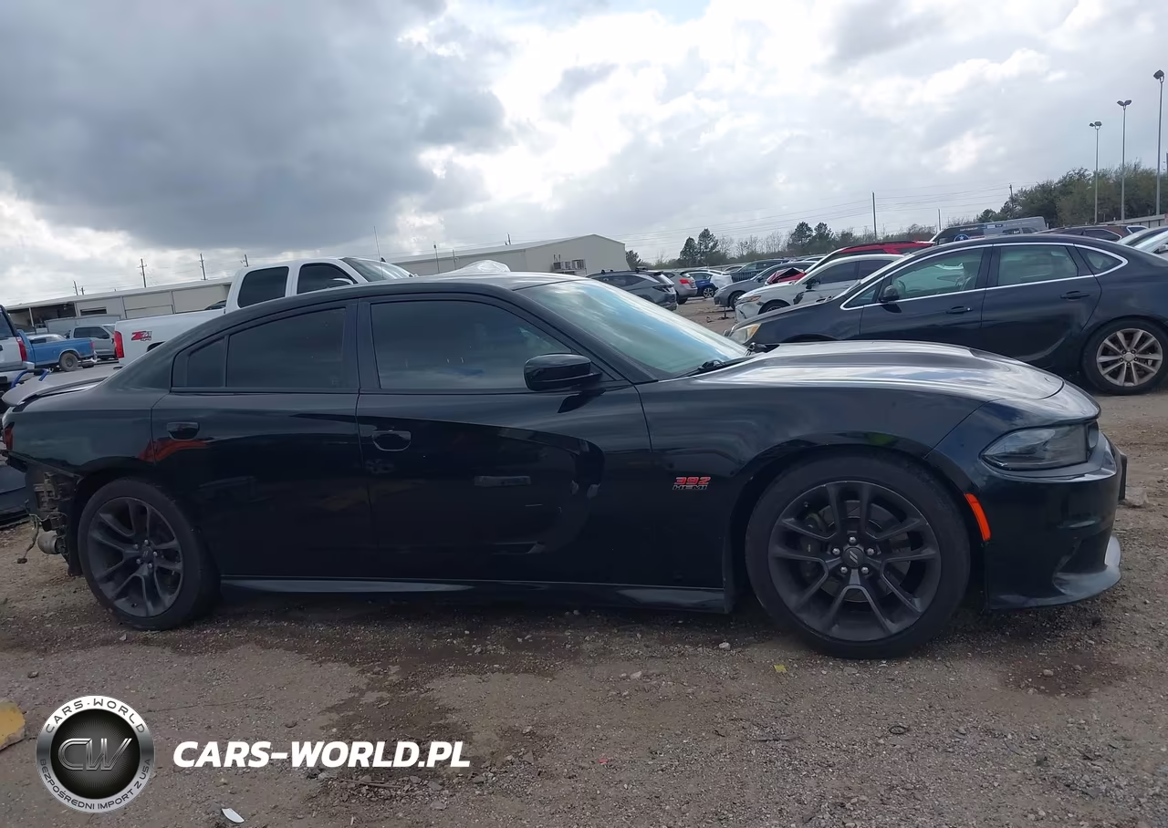 2020 Dodge Charger Scat Pack Rwd VIN:2C3CDXGJ3LH252399 - 14
