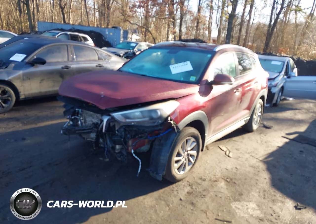 2017 Hyundai Tucson Eco VIN:KM8J3CA25HU310660 - 2