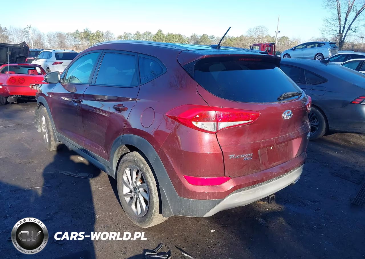 2017 Hyundai Tucson Eco VIN:KM8J3CA25HU310660 - 3