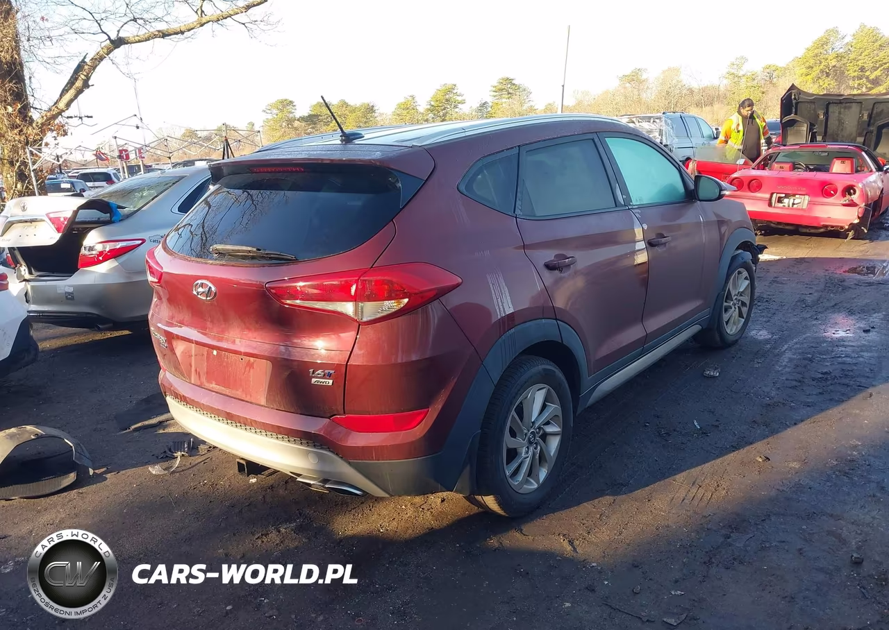 2017 Hyundai Tucson Eco VIN:KM8J3CA25HU310660 - 4