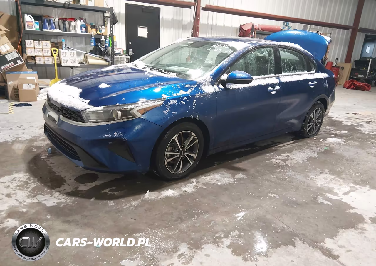 2022 Kia Forte Lxs VIN:3KPF24AD2NE485057 - 2