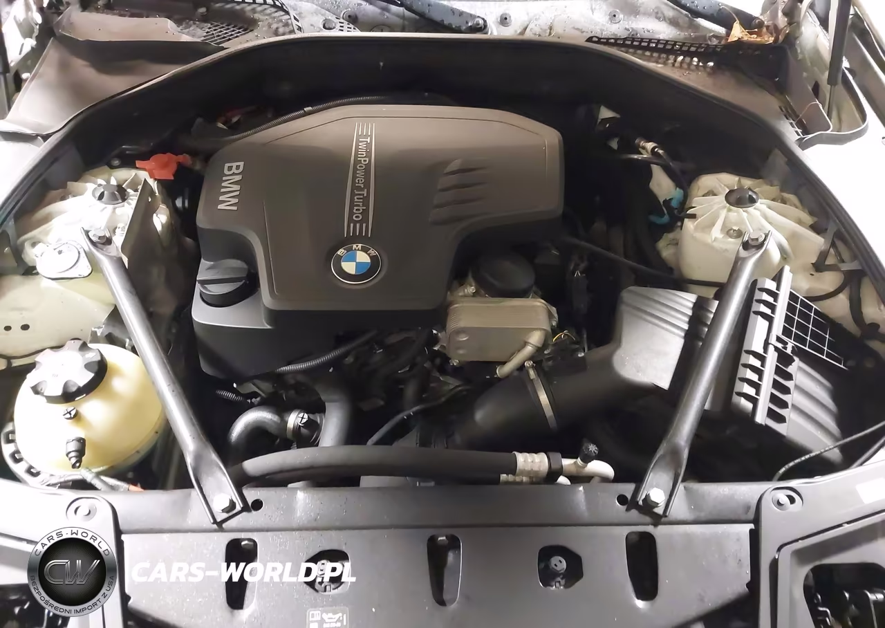 2016 BMW 528I xDrive VIN:WBA5A7C57GG149667 - 10