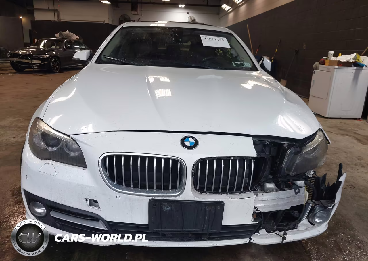 2016 BMW 528I xDrive VIN:WBA5A7C57GG149667 - 12