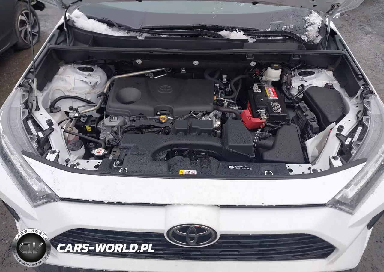 2023 Toyota Rav4 Le VIN:2T3H1RFV3PW254735 - 10