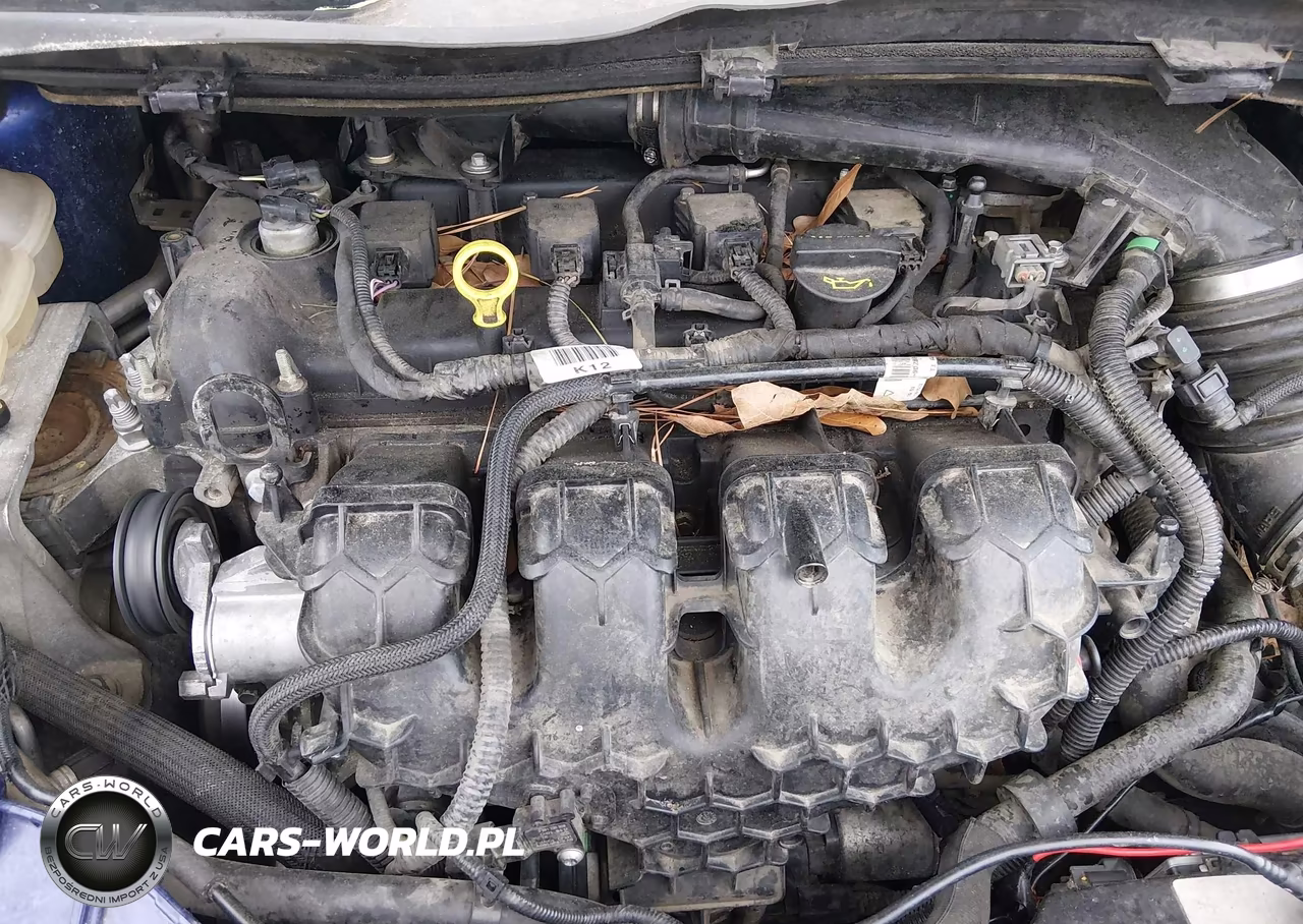 2013 Ford Escape Se VIN:1FMCU0G95DUB55885 - 10