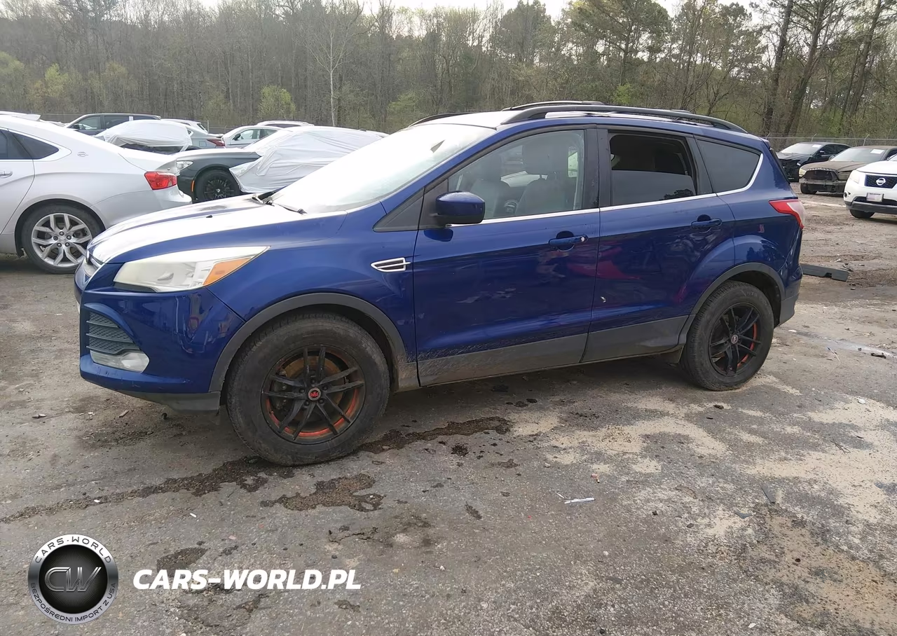 2013 Ford Escape Se VIN:1FMCU0G95DUB55885 - 2