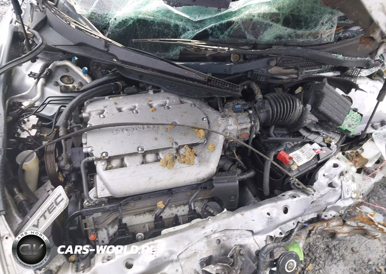 2003 Honda Accord 3.0 Ex VIN:1HGCM66593A065839 - 10