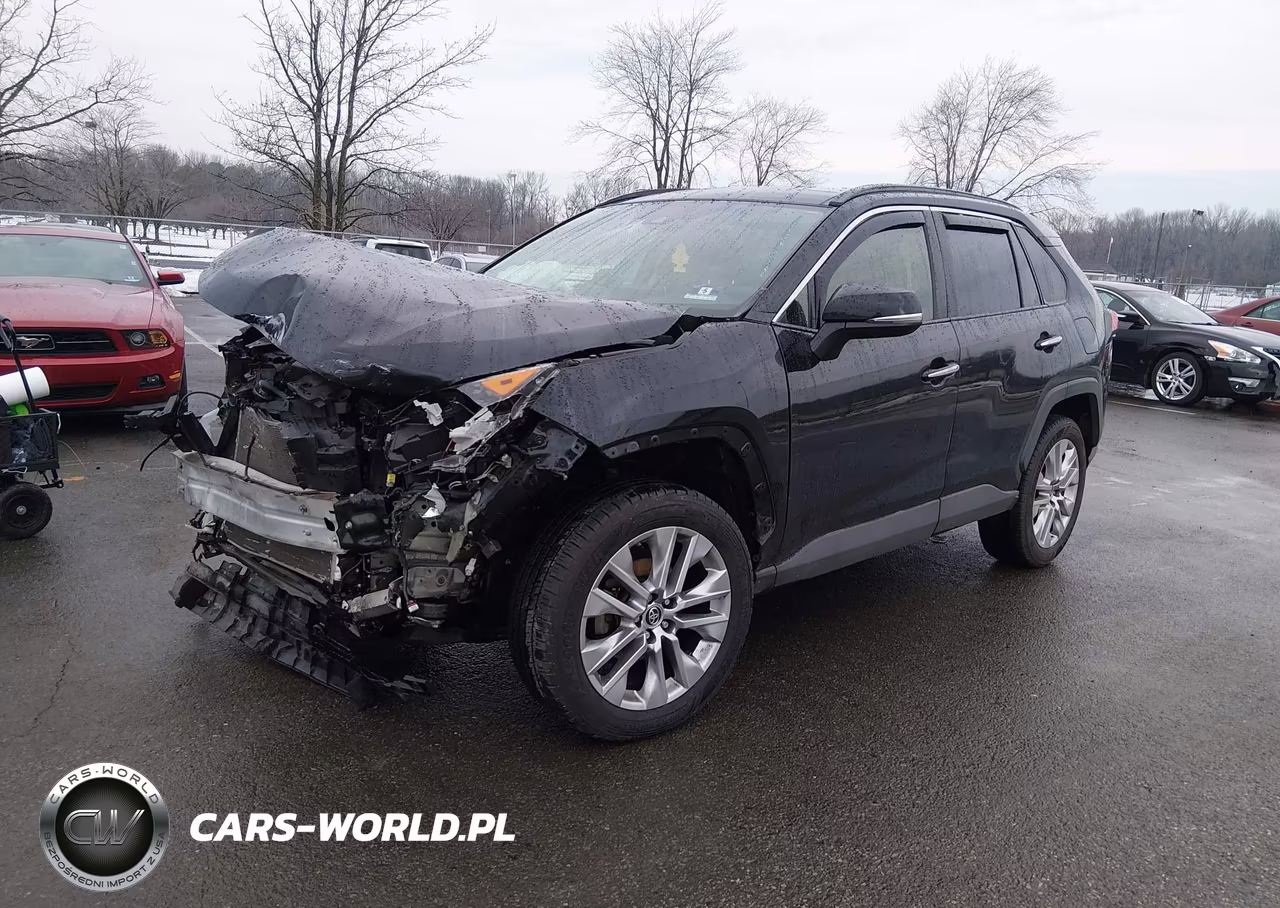 2019 Toyota Rav4 Limited VIN:JTMN1RFV7KD519097 - 2