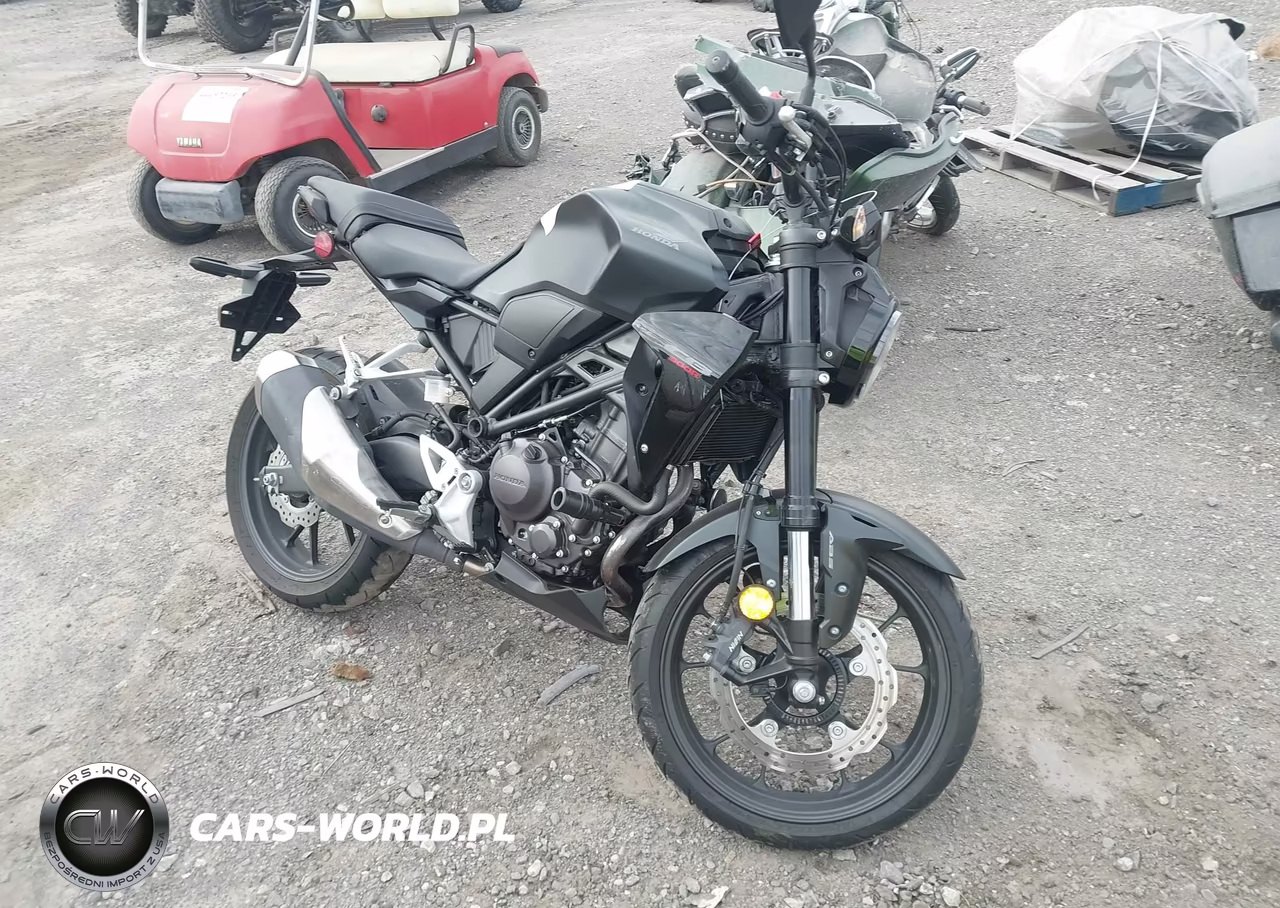 2024 Honda Cbf300 Na