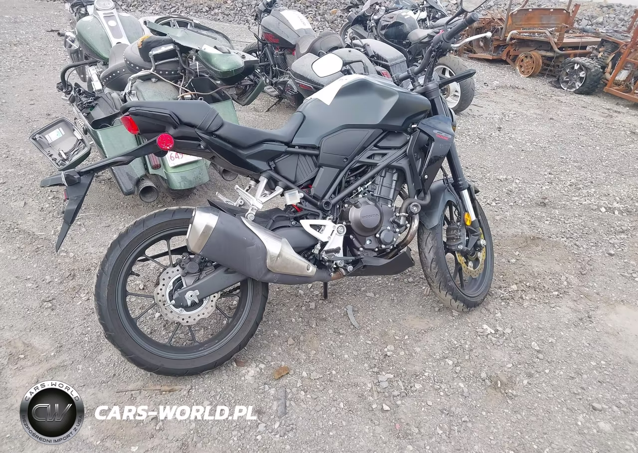 2024 Honda Cbf300 Na VIN:MLHNC5558R5401209 - 12