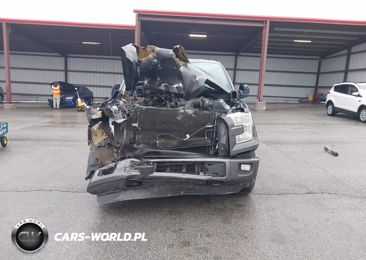 2015 Ford F-150 Xlt VIN:1FTEW1EPXFKD98119 - 13