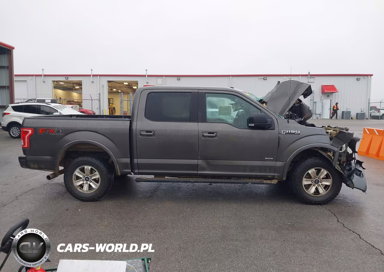2015 Ford F-150 Xlt VIN:1FTEW1EPXFKD98119 - 14