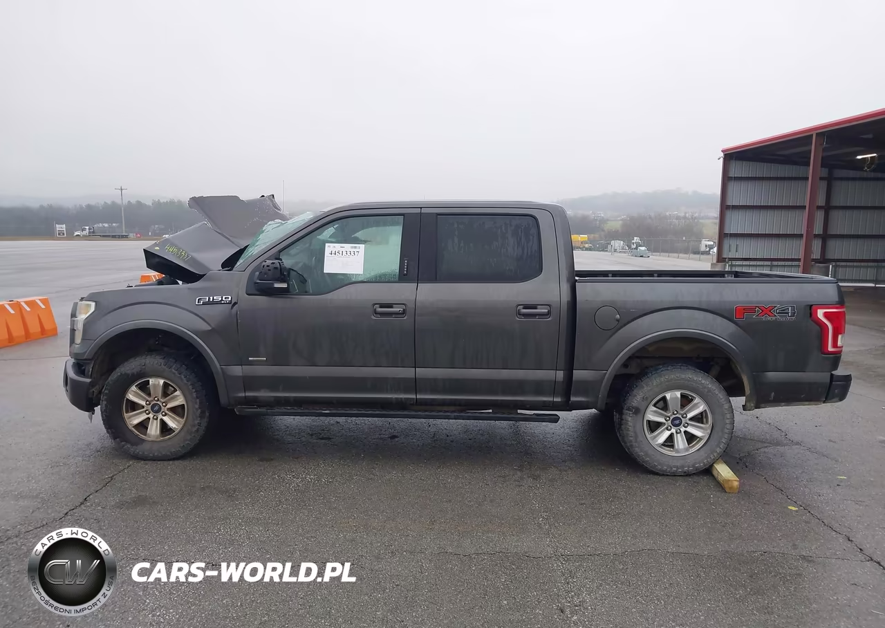2015 Ford F-150 Xlt VIN:1FTEW1EPXFKD98119 - 15