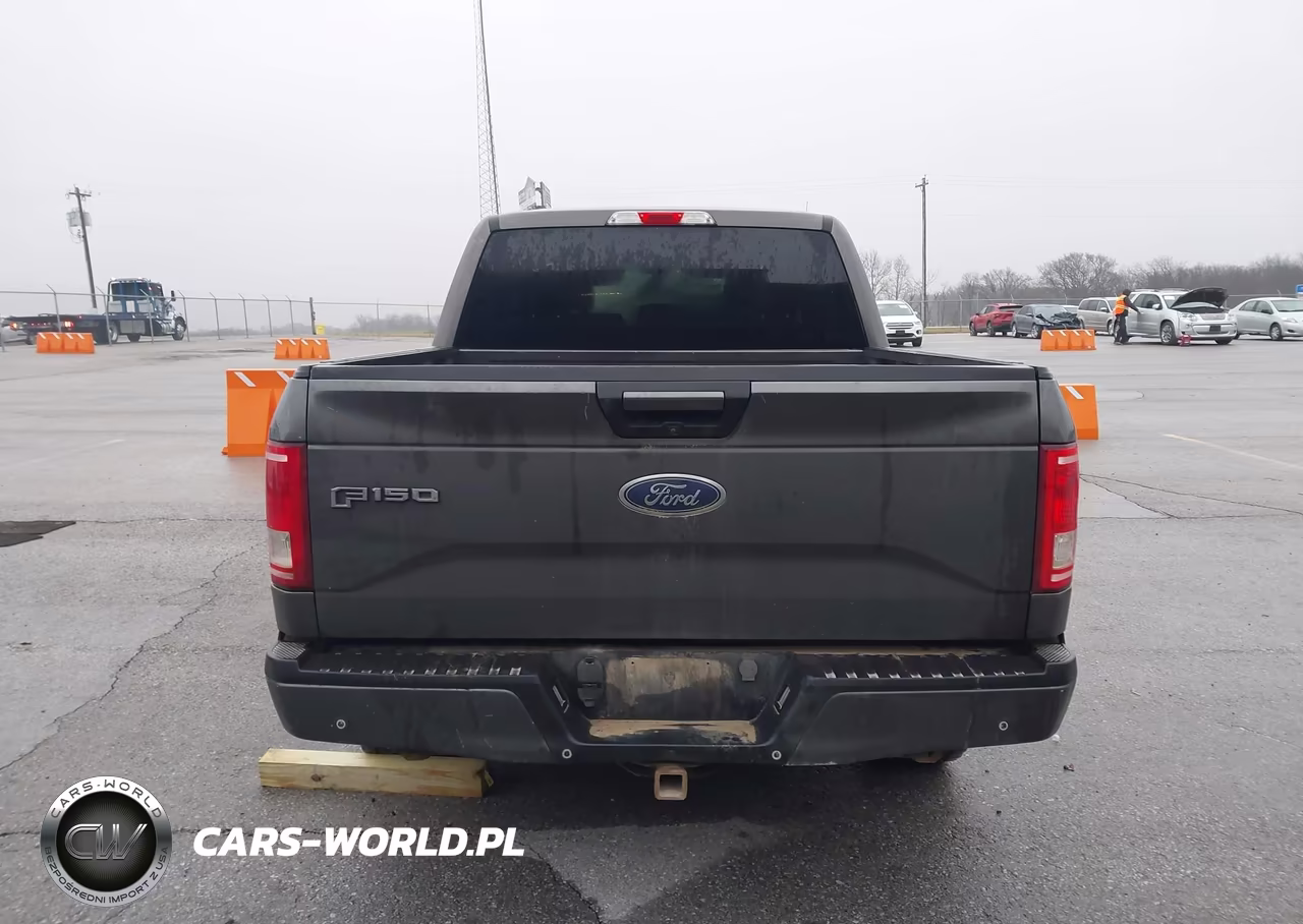 2015 Ford F-150 Xlt VIN:1FTEW1EPXFKD98119 - 17