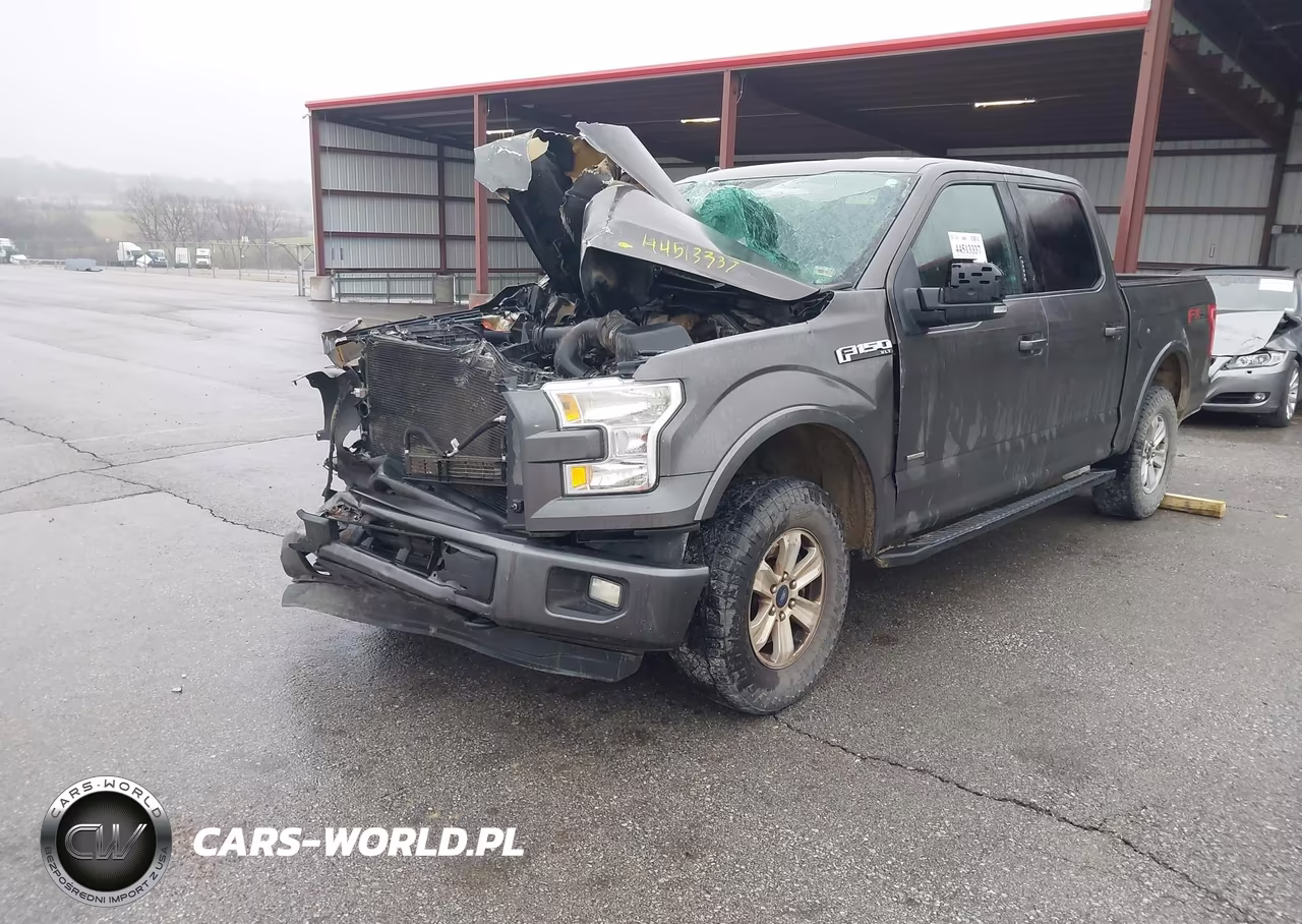 2015 Ford F-150 Xlt VIN:1FTEW1EPXFKD98119 - 2