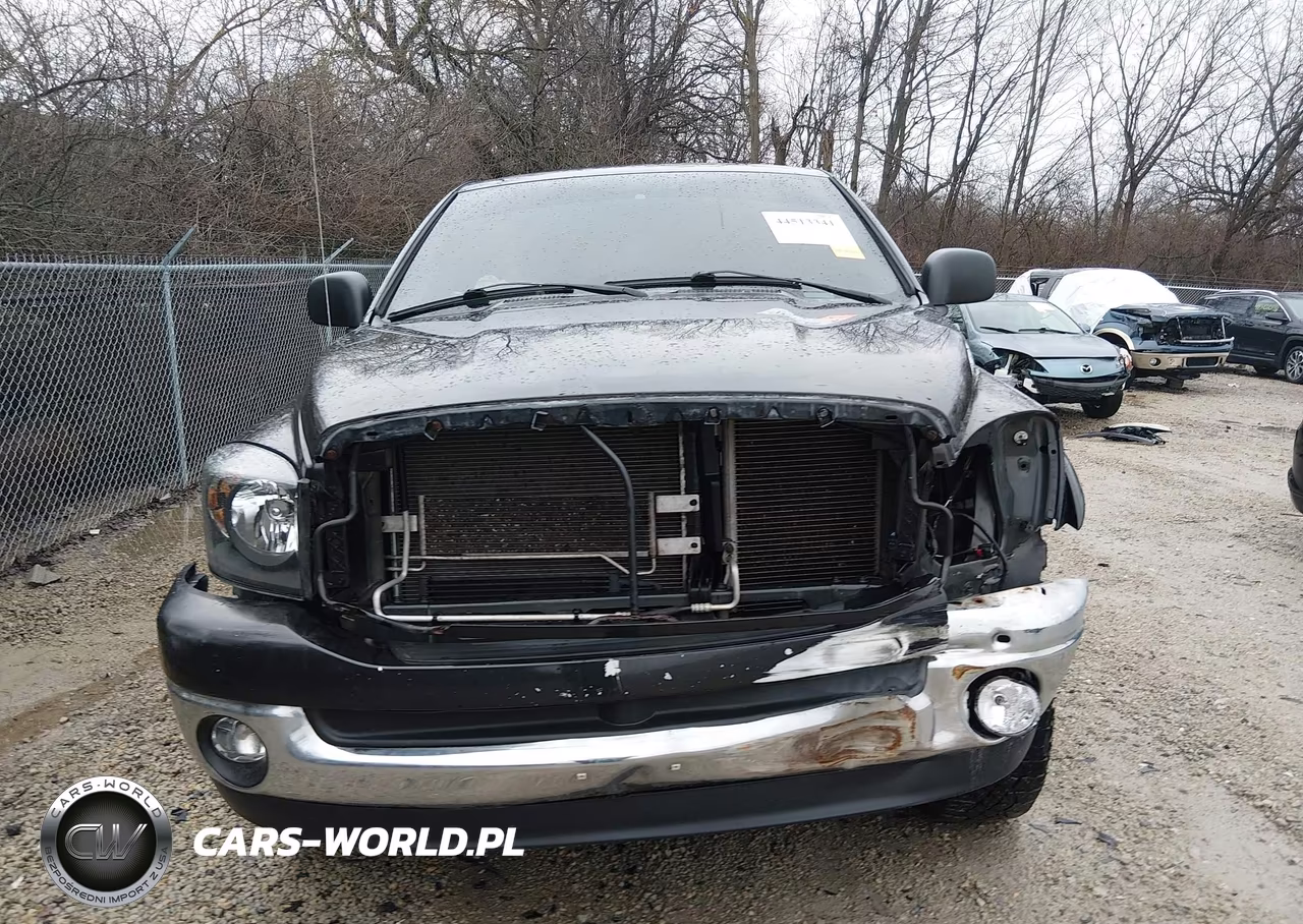 2007 Dodge Ram 1500 Slt-Trx4 Off Road-Sport VIN:1D7HU16P57J602744 - 12