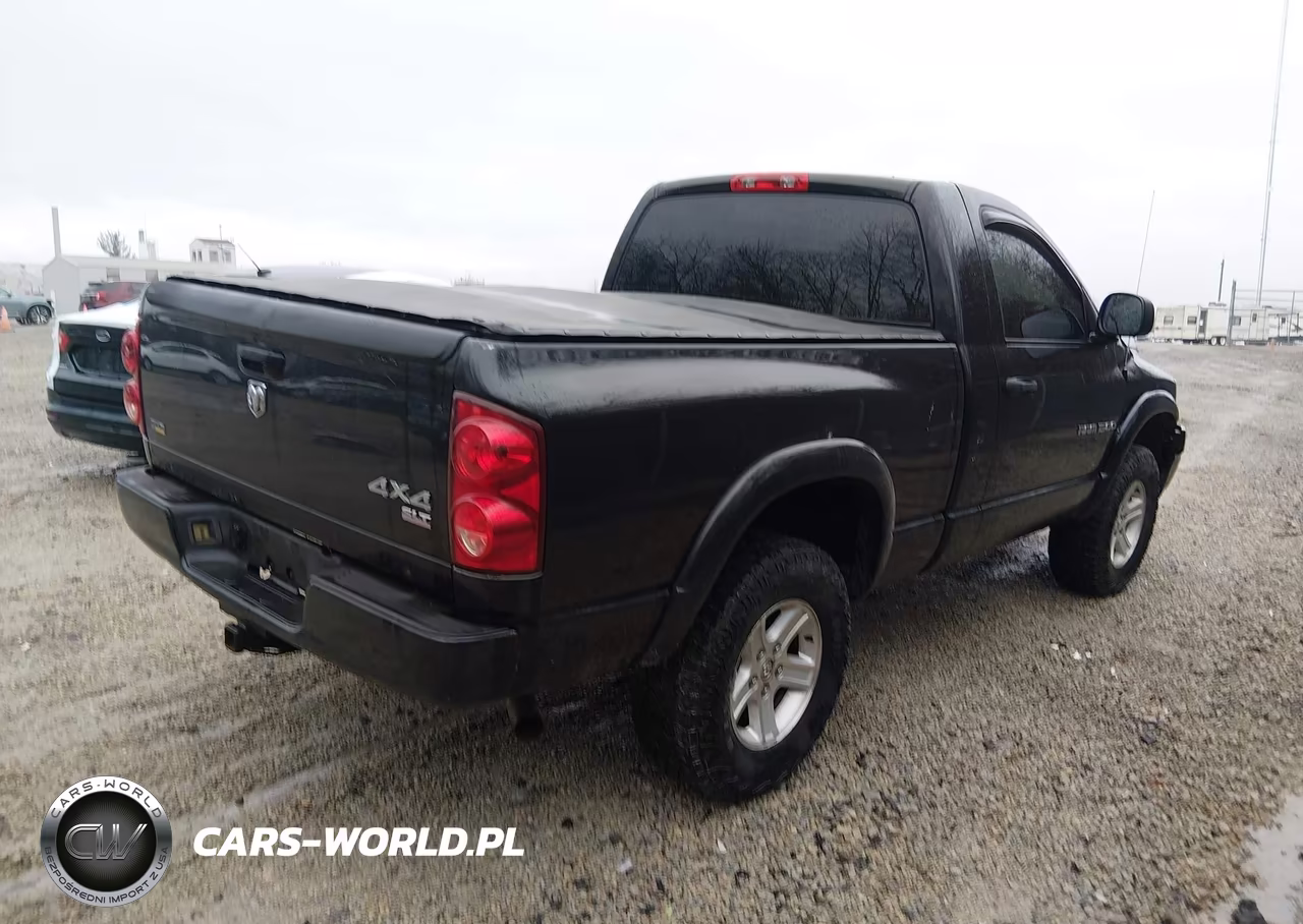 2007 Dodge Ram 1500 Slt-Trx4 Off Road-Sport VIN:1D7HU16P57J602744 - 4