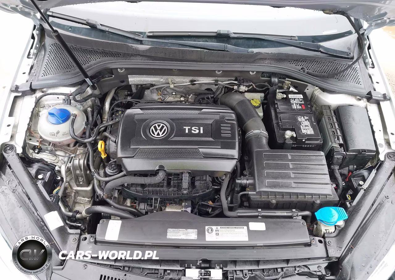 2016 Volkswagen Golf Gti Se 4-Door VIN:3VW4T7AU1GM010883 - 10