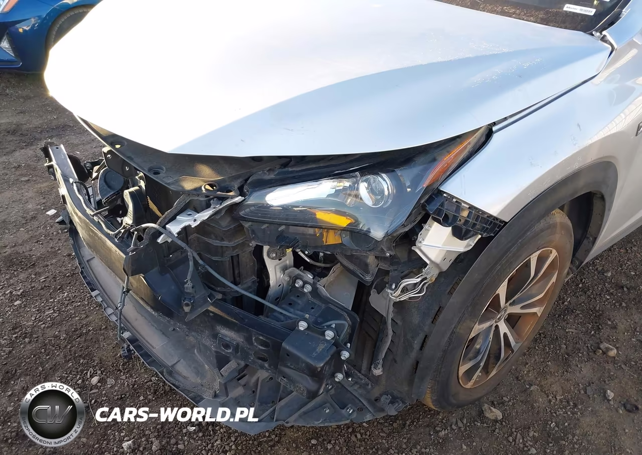 2015 Lexus Nx 200T F Sport VIN:JTJBARBZ7F2002666 - 19
