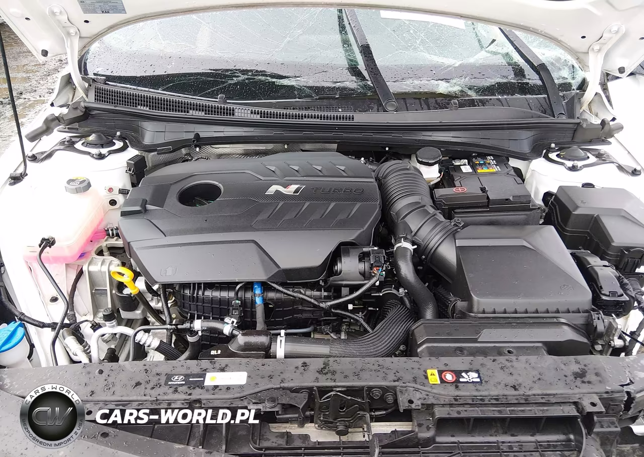 2023 Hyundai Elantra N VIN:KMHLW4AK5PU014834 - 10