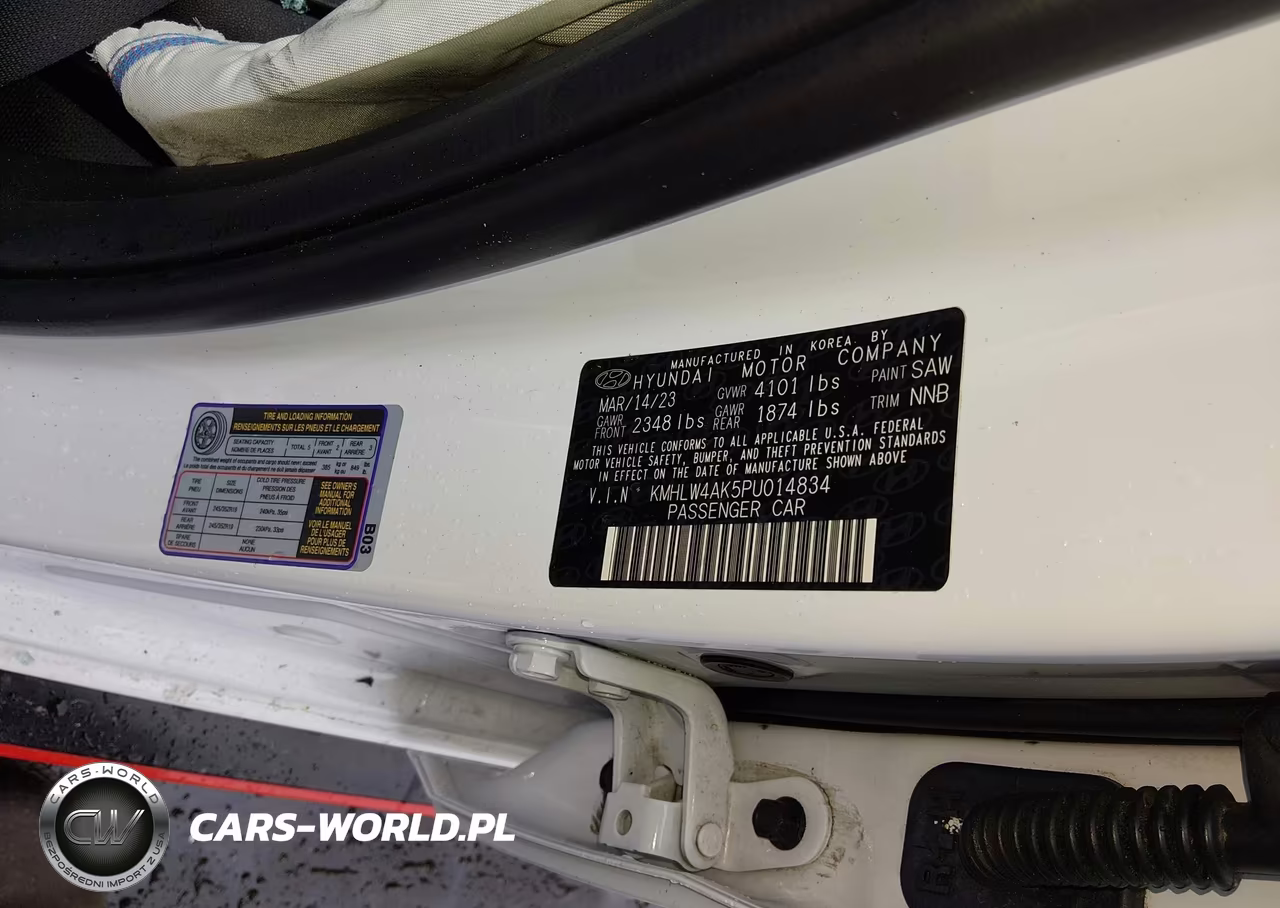 2023 Hyundai Elantra N VIN:KMHLW4AK5PU014834 - 9