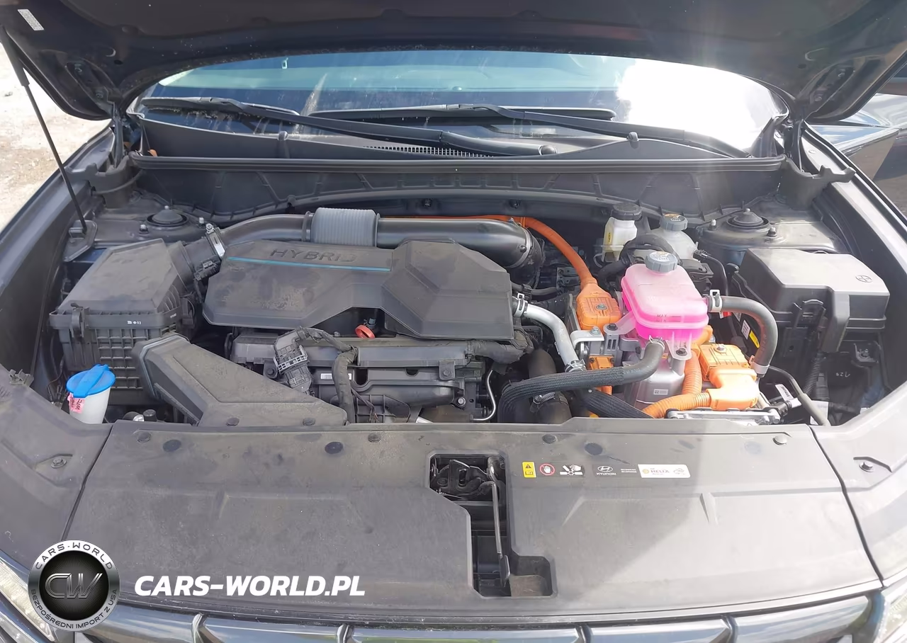 2024 Hyundai Tucson Hybrid Blue VIN:KM8JBCD11RU185356 - 10