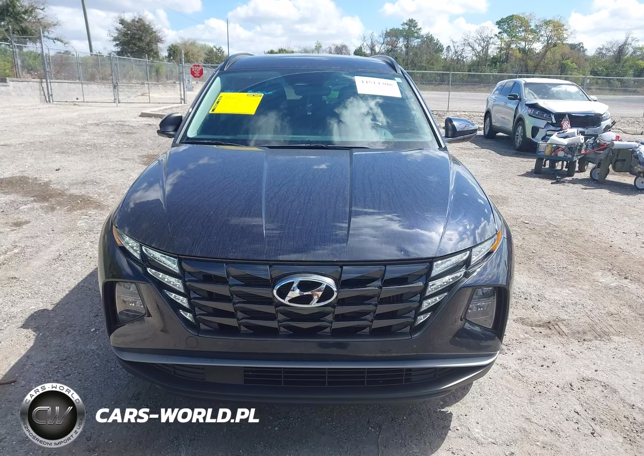 2024 Hyundai Tucson Hybrid Blue VIN:KM8JBCD11RU185356 - 12
