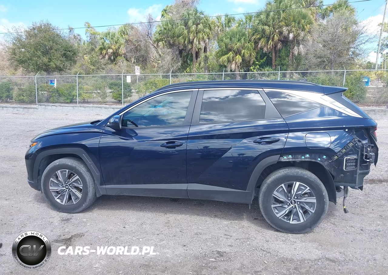 2024 Hyundai Tucson Hybrid Blue VIN:KM8JBCD11RU185356 - 14