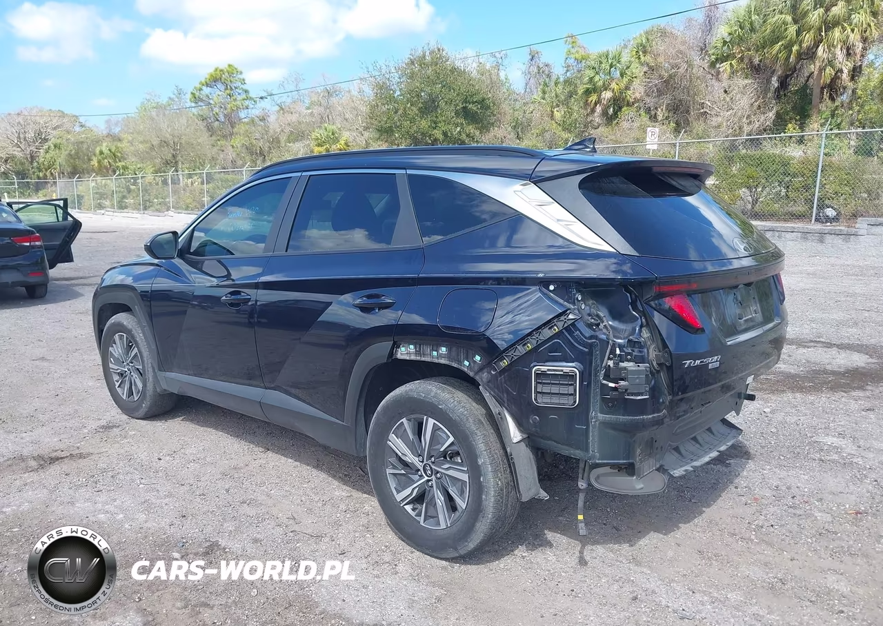 2024 Hyundai Tucson Hybrid Blue VIN:KM8JBCD11RU185356 - 3