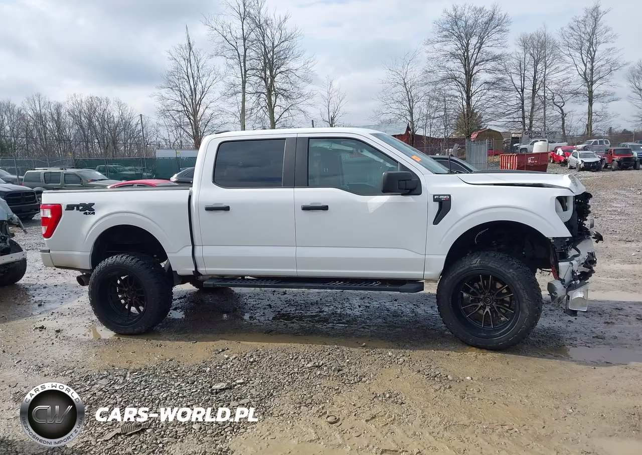 2021 Ford F-150 Xl VIN:1FTFW1E54MKE79522 - 13