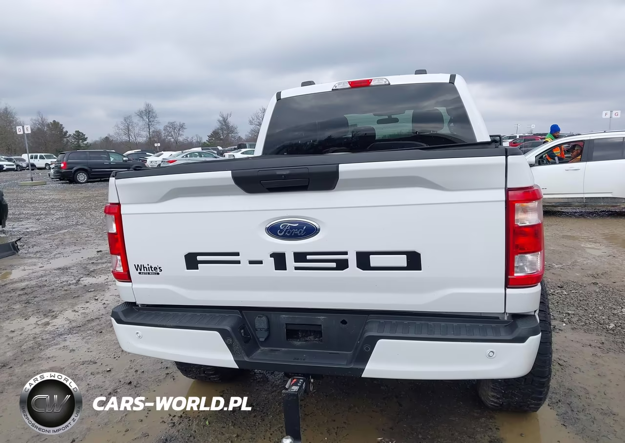 2021 Ford F-150 Xl VIN:1FTFW1E54MKE79522 - 16