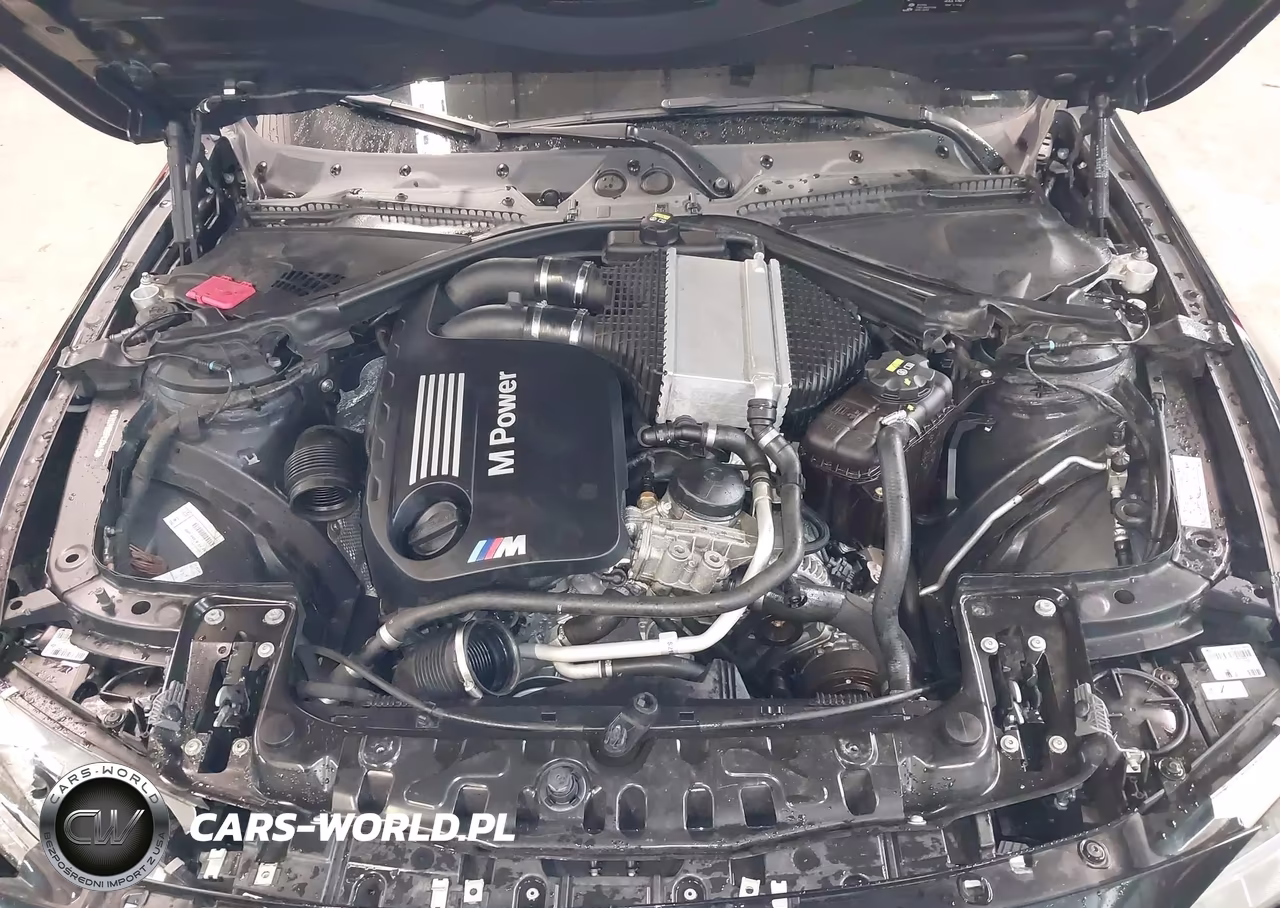 2015 BMW M4 VIN:WBS3R9C5XFK334413 - 10