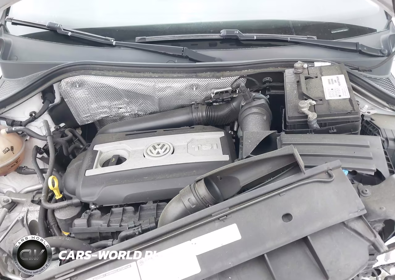 2016 Volkswagen Tiguan S VIN:WVGAV7AXXGW576806 - 10