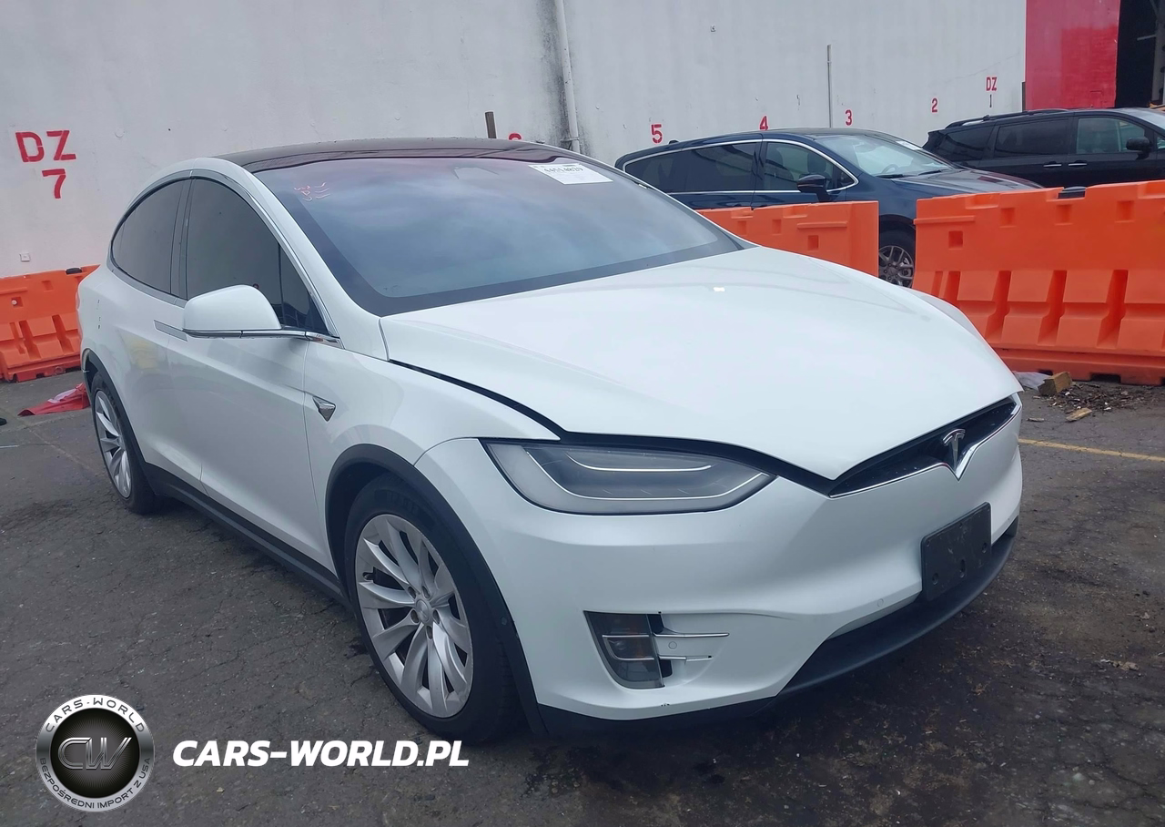 2019 Tesla Model X 100D-75D-Long Range-Standard Range
