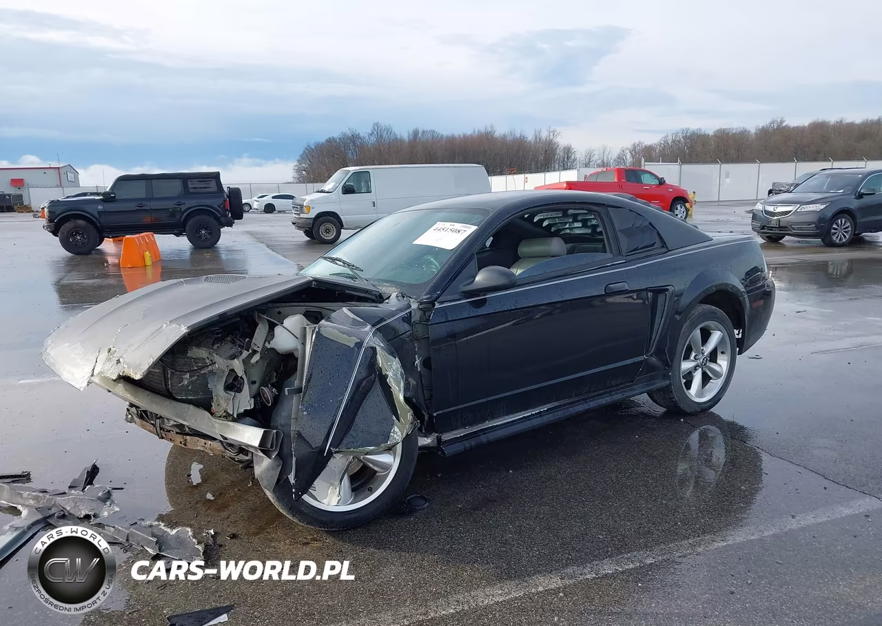 2003 Ford Mustang VIN:1FAFP40423F325997 - 2