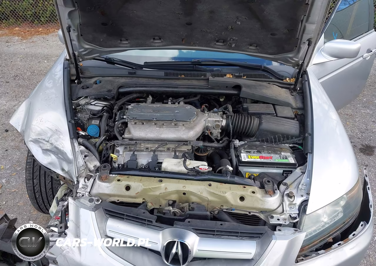 2004 Acura Tl VIN:19UUA66244A026077 - 10