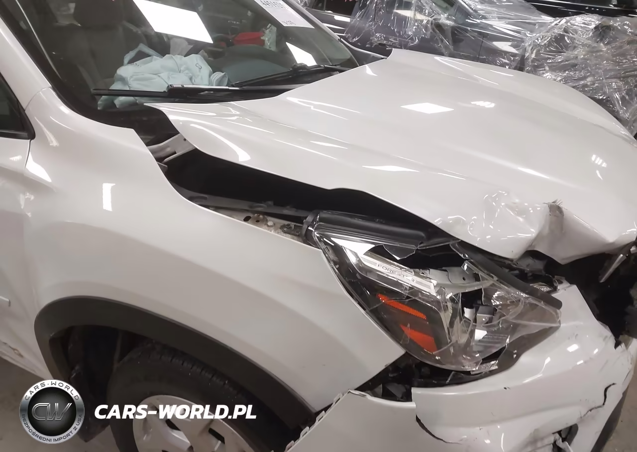 2019 Subaru Forester VIN:JF2SKACC6KH465824 - 20