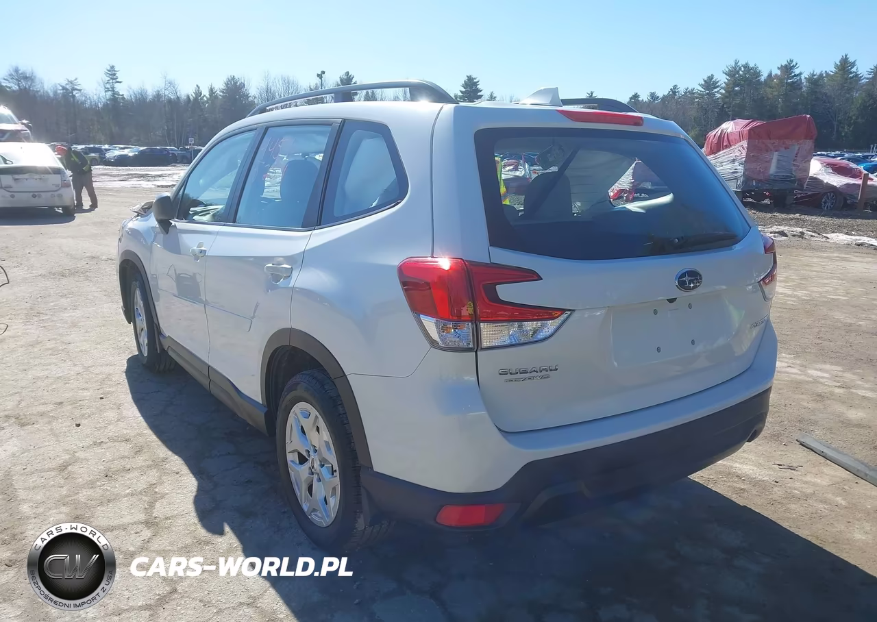2019 Subaru Forester VIN:JF2SKACC6KH465824 - 3