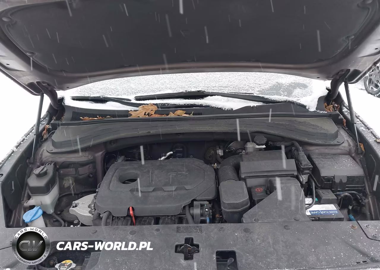 2019 Hyundai Santa Fe Sel Plus VIN:5NMS3CAD6KH036720 - 10