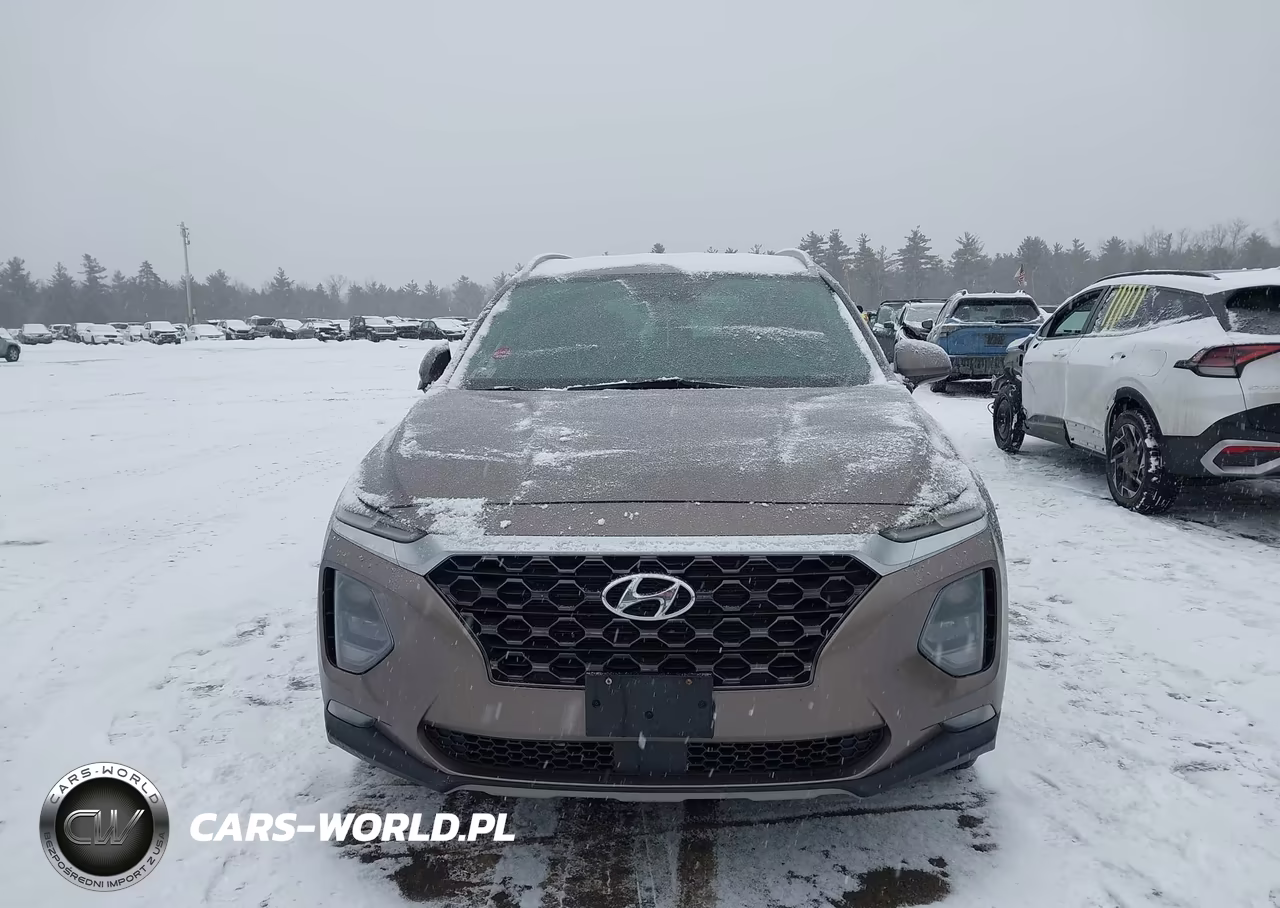 2019 Hyundai Santa Fe Sel Plus VIN:5NMS3CAD6KH036720 - 12