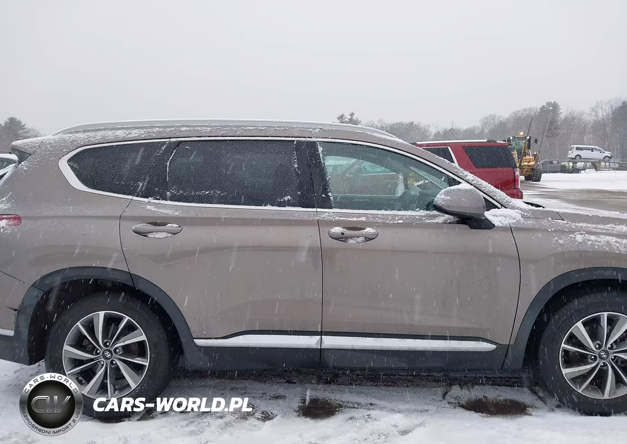 2019 Hyundai Santa Fe Sel Plus VIN:5NMS3CAD6KH036720 - 13