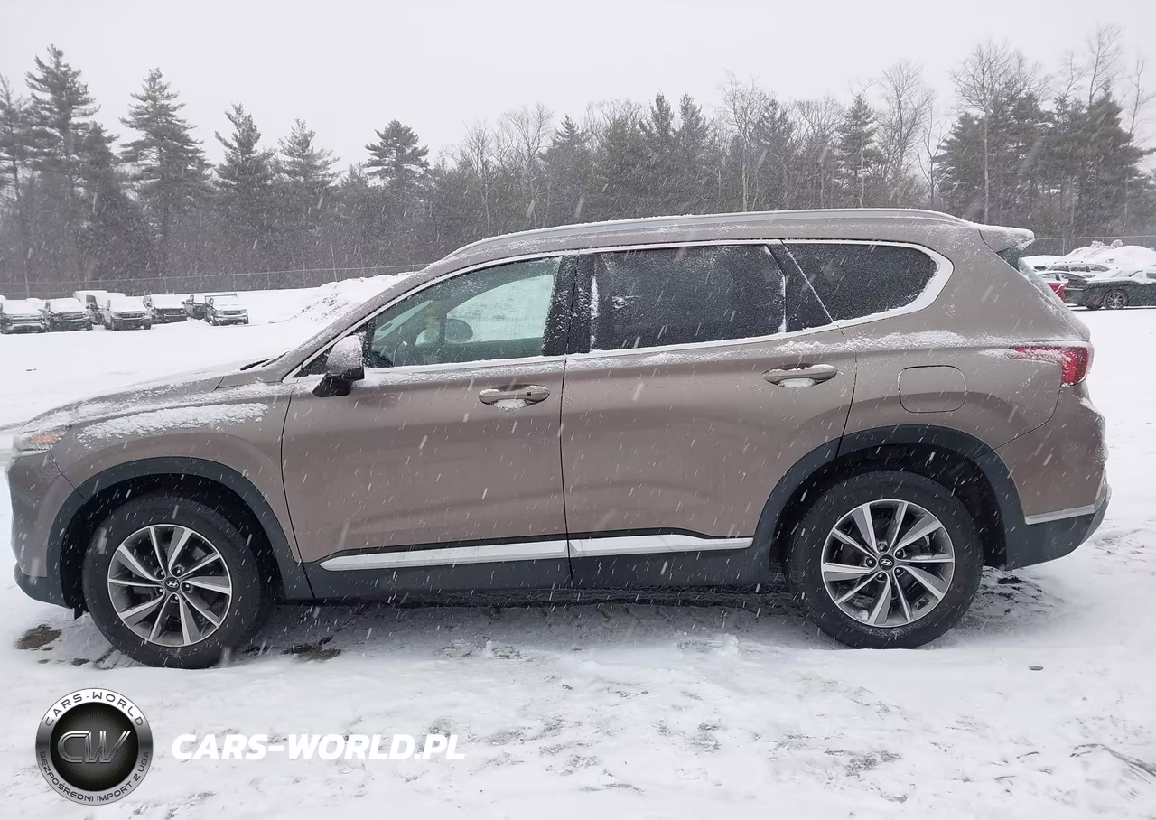 2019 Hyundai Santa Fe Sel Plus VIN:5NMS3CAD6KH036720 - 14