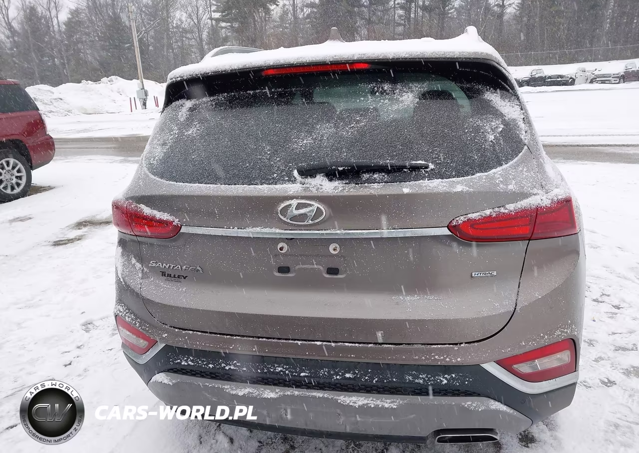2019 Hyundai Santa Fe Sel Plus VIN:5NMS3CAD6KH036720 - 16