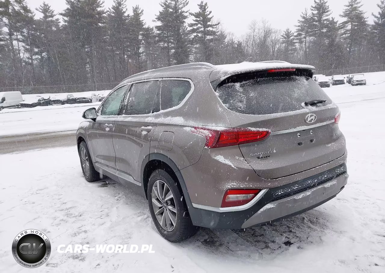 2019 Hyundai Santa Fe Sel Plus VIN:5NMS3CAD6KH036720 - 3